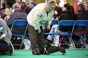 Crufts2011_2 1291